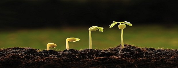 TERMINI D'INSCRIPCIONS: INTRODUCCI� AL DESENVOLUPAMENT ECON�MIC LOCAL