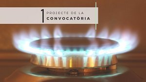CONFERNCIA 'LA POBRESA ENERGTICA: CONCLUSIONS I RESULTATS'