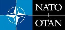L'OTAN LLANA UN PROGRAMA PER A CONTRACTAR JOVES PROFESSIONALS